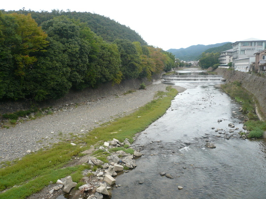 P1060045.JPG